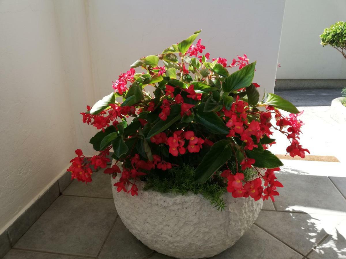 Apartman Katica Banjol Exteriér fotografie
